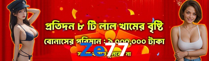 Ze77 interface sample